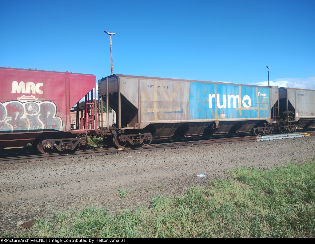 RUMO HPT-031094-8